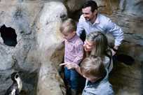 A family observes a Humboldt Penguin at the Aquarium of Niagara's Penguin Coast exhibit
