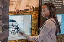 Learn about the history of Niagara Falls at the indoor multimedia experience, The World Changed Here Pavilion, at Niagara Falls State Park