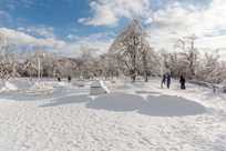 Experience the serenity of Niagara Falls State Park in the winter