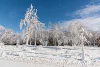 Experience the serenity of Niagara Falls State Park in the winter