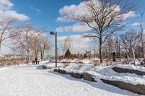 Experience the serenity of Niagara Falls State Park in the winter