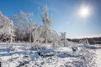 Experience the serenity of Niagara Falls State Park in the winter