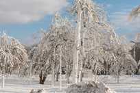 Experience the serenity of Niagara Falls State Park in the winter